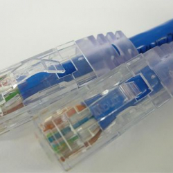 商品画像:CAT6ケーブル 両端RJ45 単線 ストレート結線 1m (青) C6S-SO-BL-01