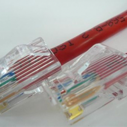 商品画像:CAT5eケーブル 両端RJ45(PANDUIT) ブーツ無し 撚り線/ストレート結線 赤 2m C5ES-ST-RD-02P