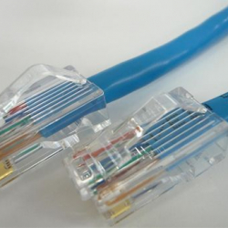 商品画像:CAT5eケーブル 両端RJ45(PANDUIT) ブーツ無し 撚り線/クロス結線 青 1m C5EX-ST-BL-01P